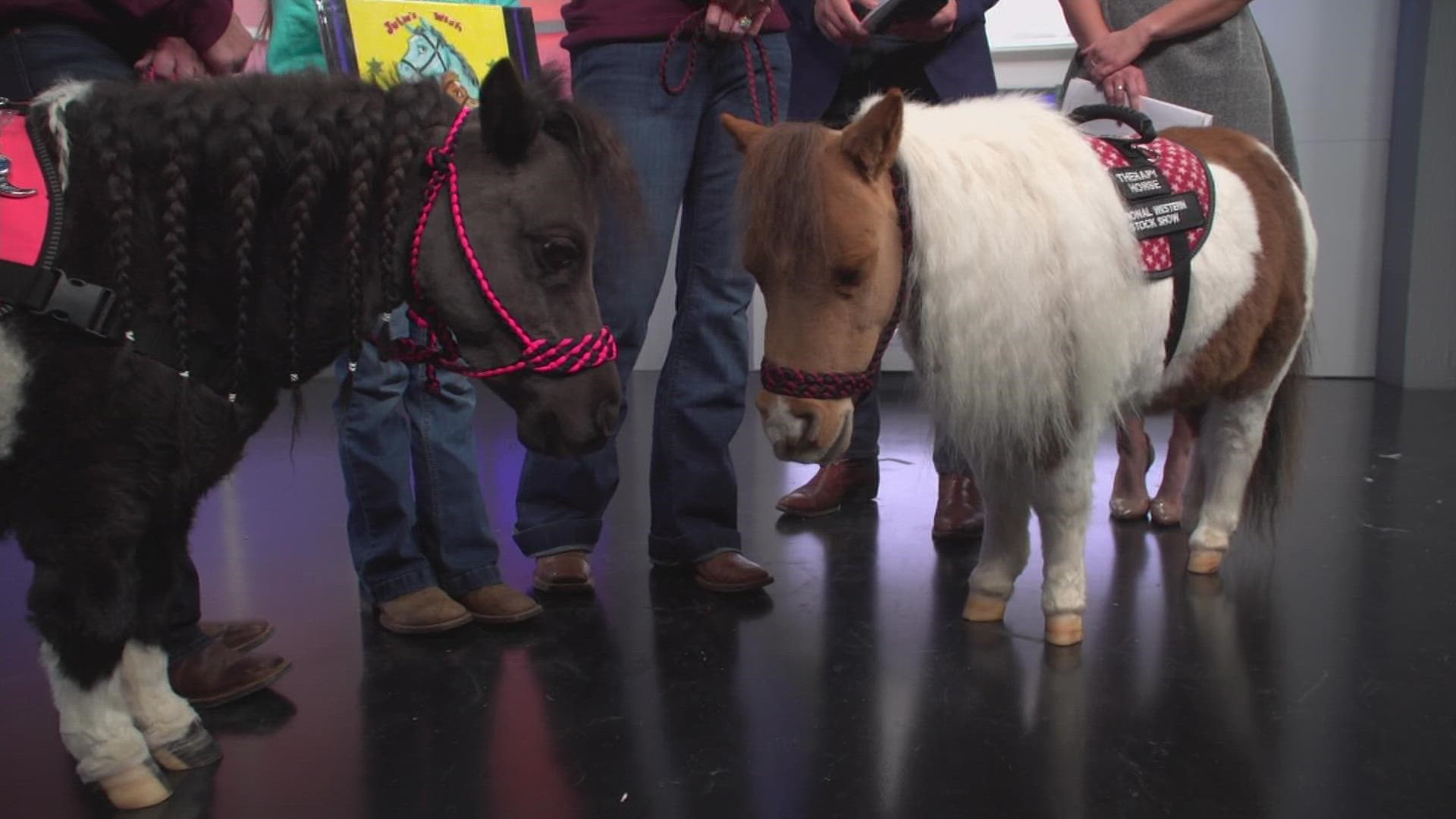 Miniature therapy horses Love Bug and Happy Times will help kick off the  117th annual National Western Stock Show on Thursday with a parade in downtown Denver.