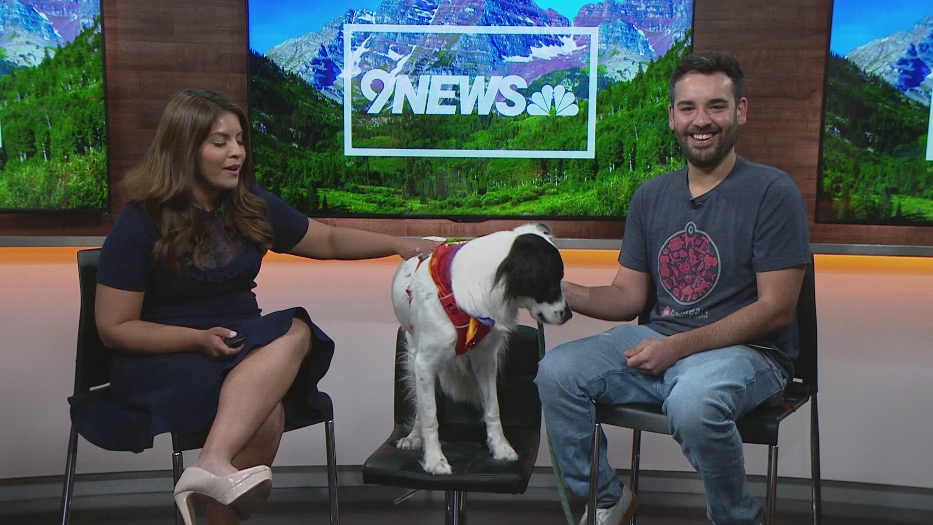 Dr. David Liss with Goodheart Animal Health Center shares tips on how to keep pets safe during fireworks through the July Fourth holiday weekend.