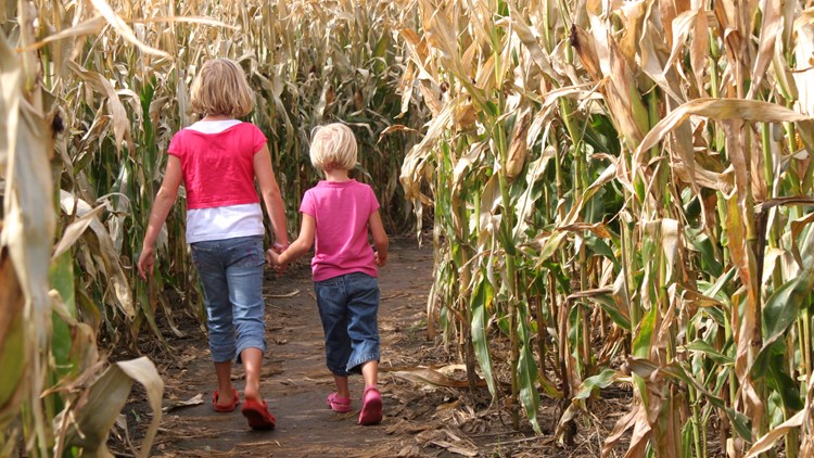 Fritzler Farm Park unveils 2022 corn maze design
