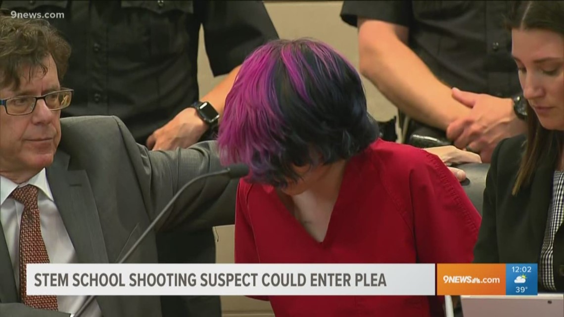 Older suspect in STEM School shooting to appear in court for ...