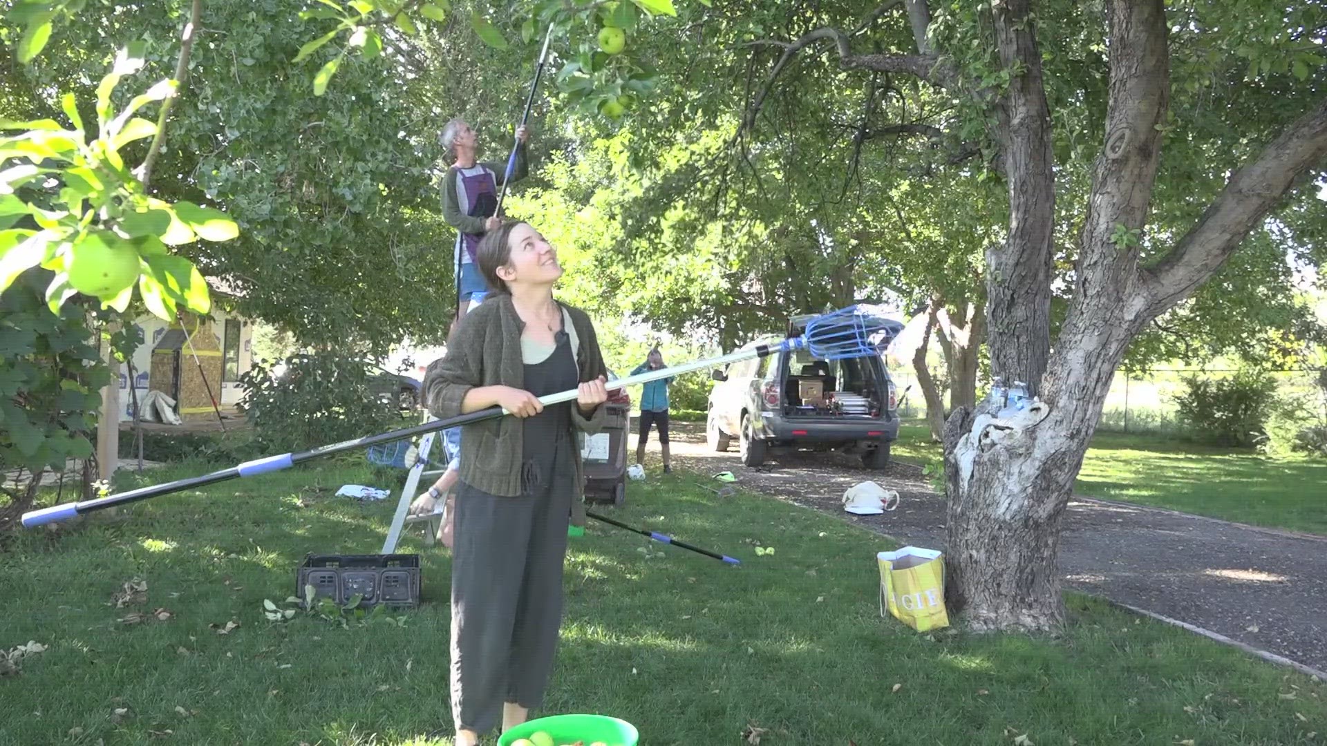 Community Fruit Rescue donates the harvests to schools, food shares and animal sanctuaries.