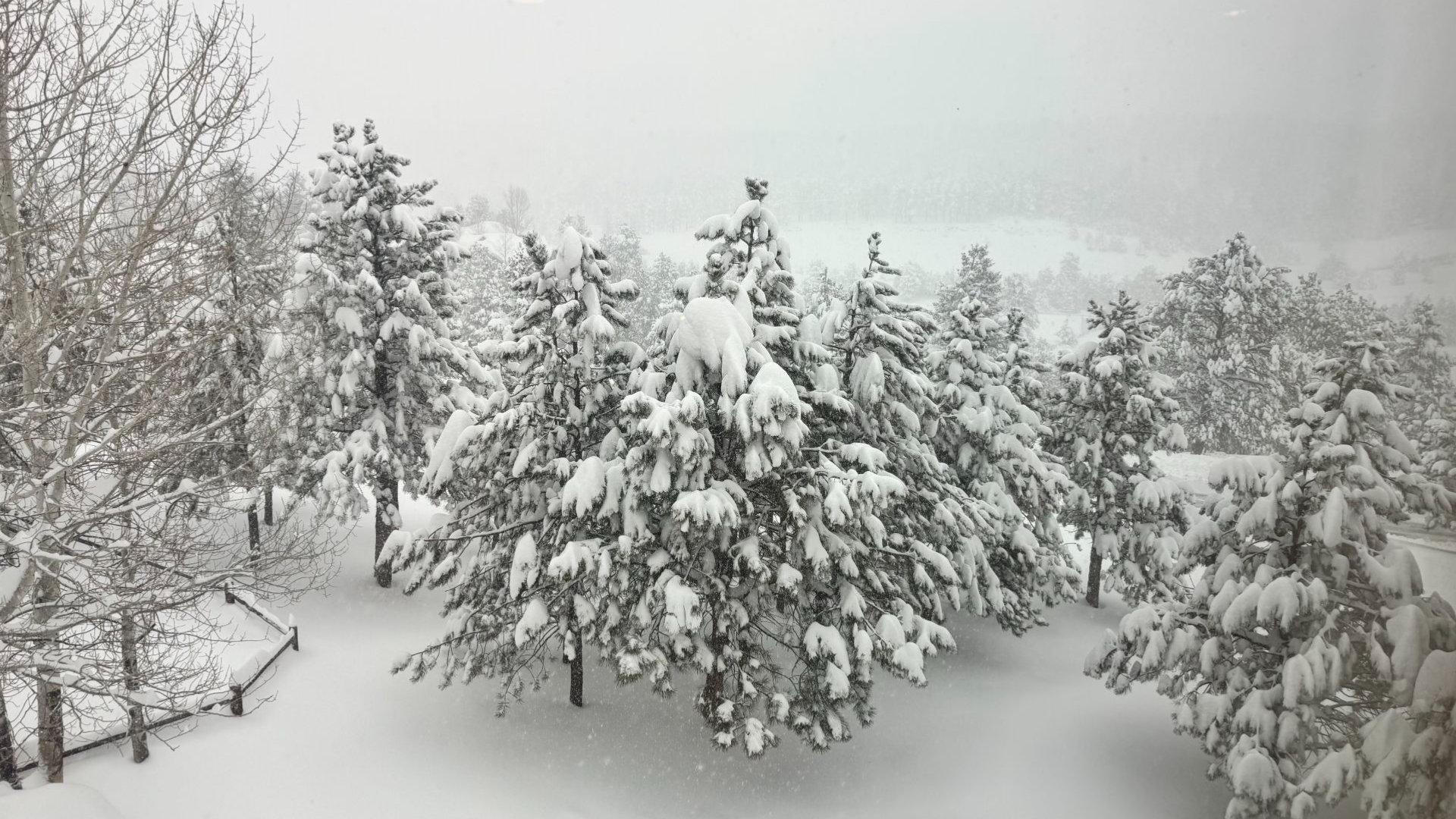 Latest news on snowstorm hitting Colorado | Denver travel impacts ...