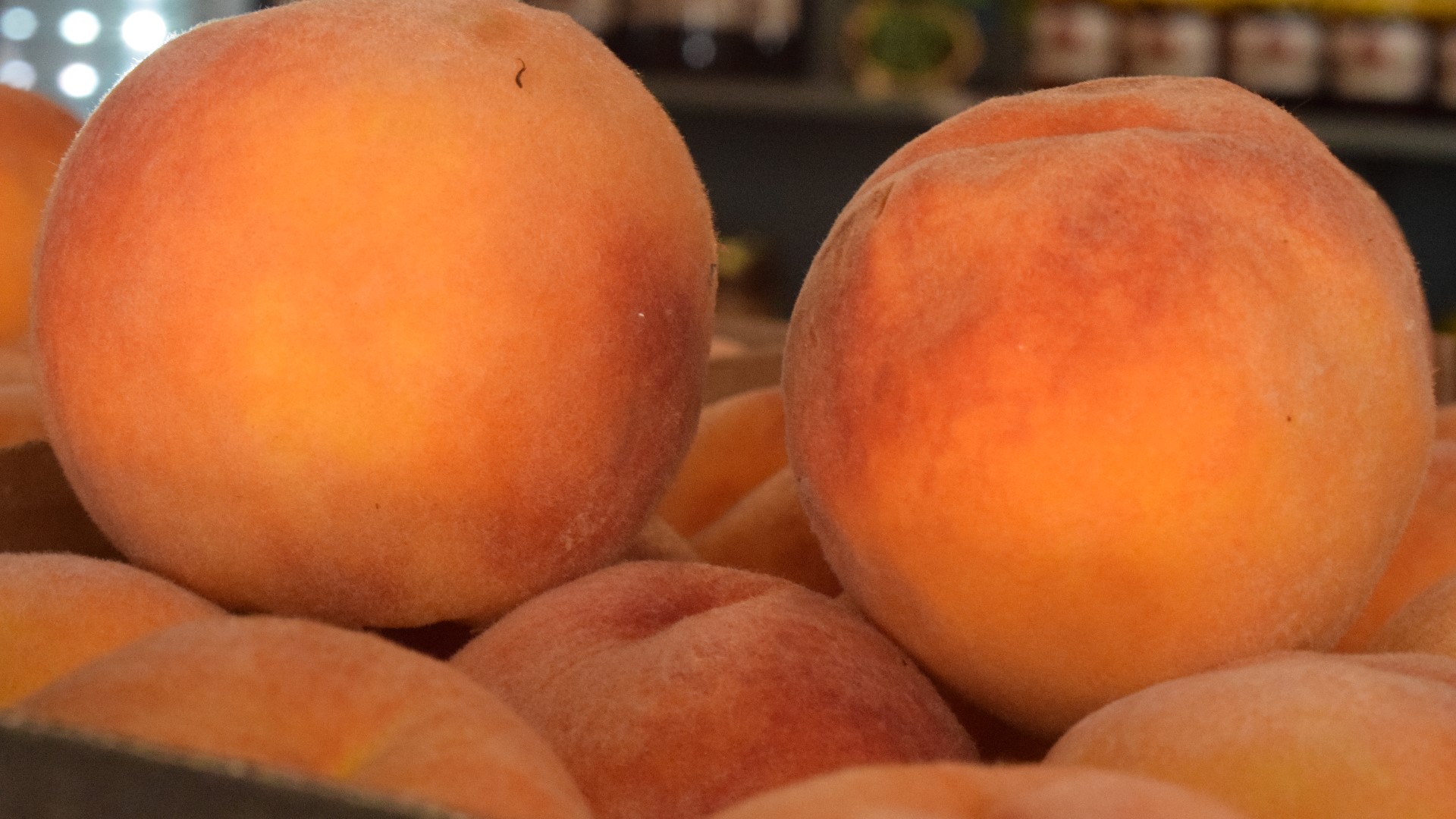 palisade-colorado-peaches-wine-and-mountain-biking-9news