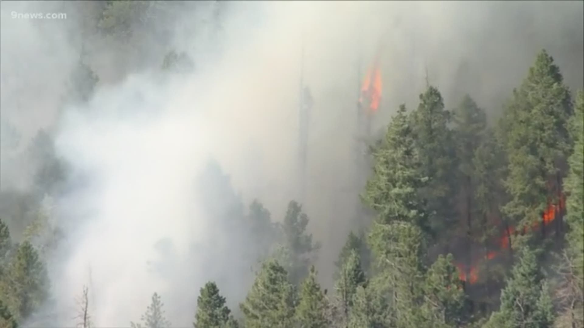 Evacuations were issued to 250 homes due to a wildfire burning near Evergreen Monday afternoon.