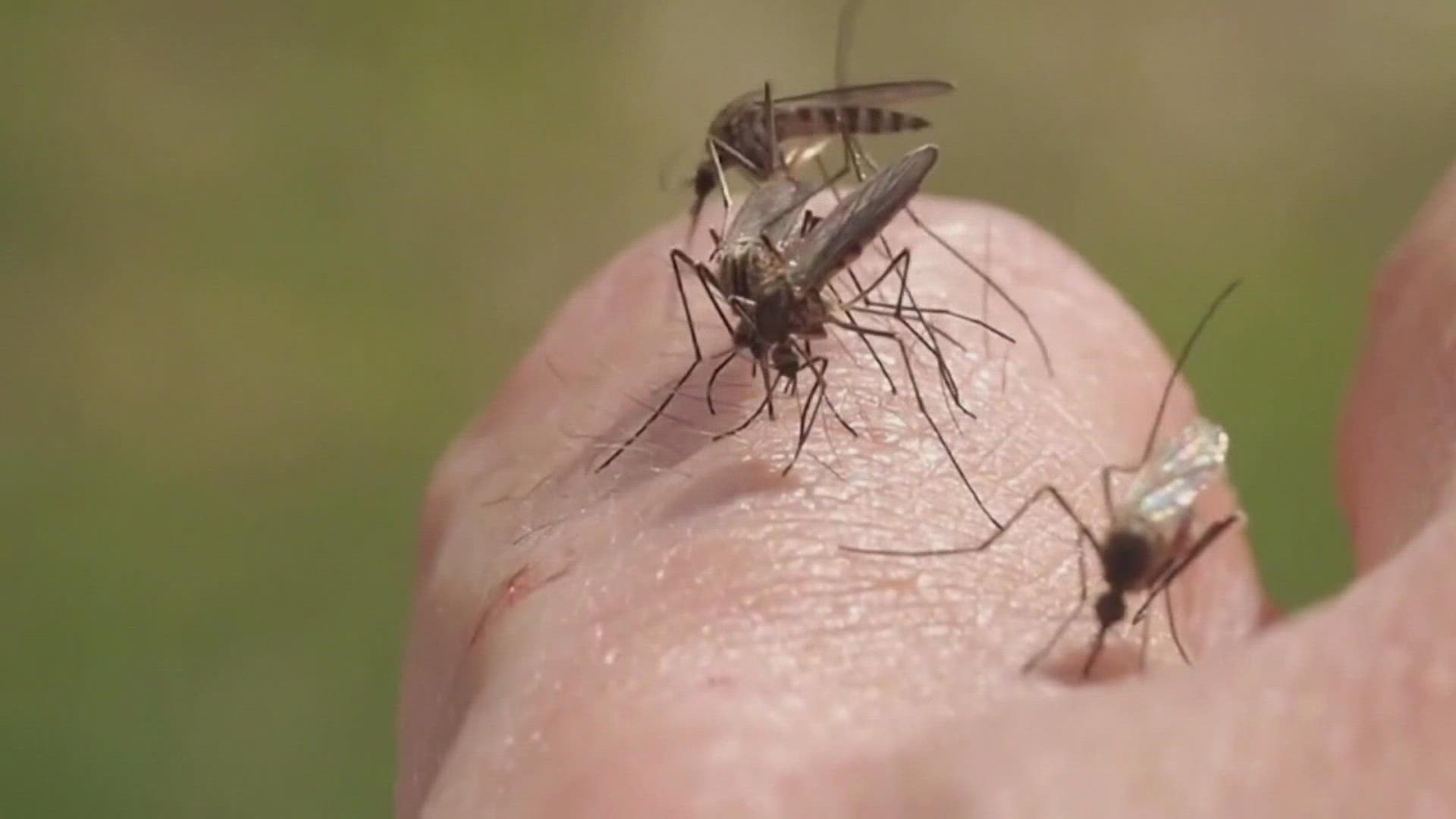 Most West Nile cases are mild -- but there's no treatment or cure.