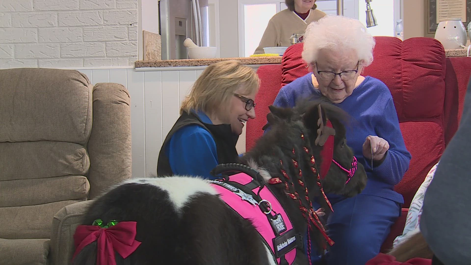 A mini horse therapy organization is bringing comfort to people in hospitals, nursing homes, disaster areas and at the National Western Stock Show.
