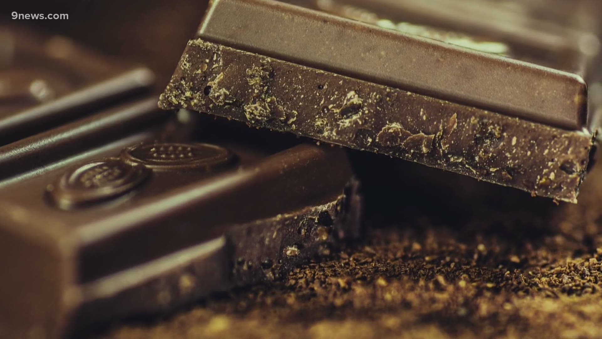 Chocolate has had a bad rap due to its fat and sugar content, but as it turns out, cacao (and some chocolate), has many health benefits.