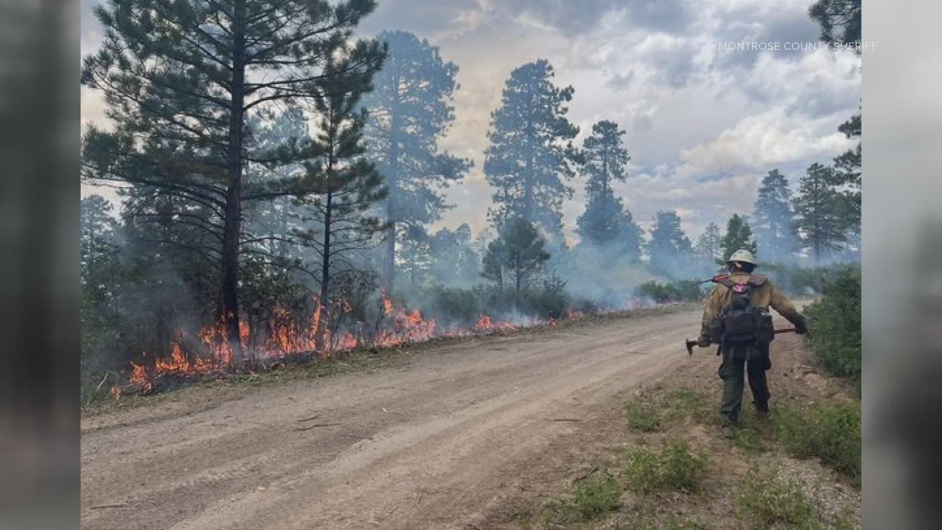 The Bucktail Fire burning near Nucla in southwestern Colorado is now 60% contained.