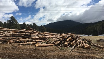 Need Firewood Jeffco Open Space Can Help 9news Com