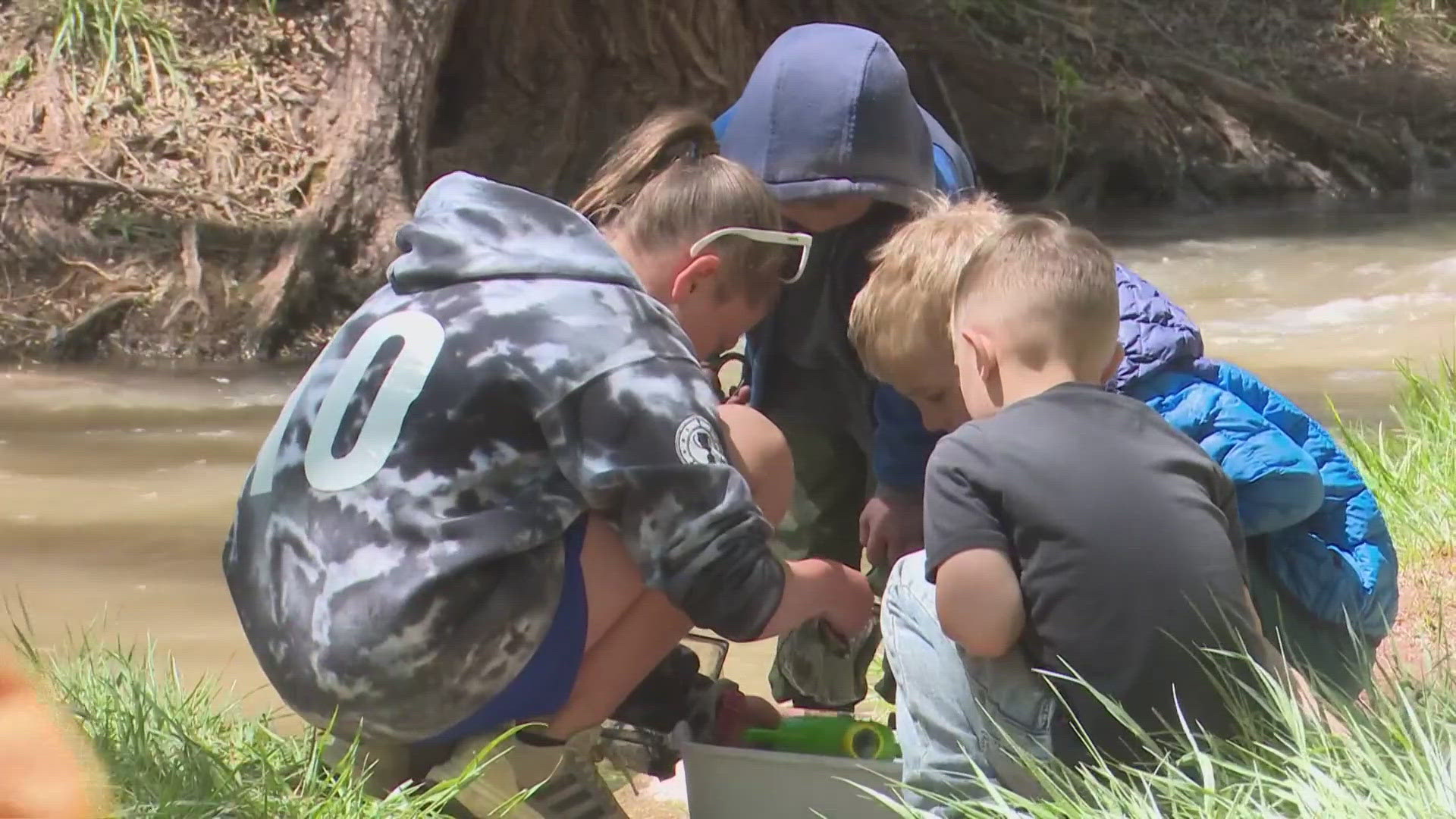The release was part of a four-week project, where the students took care of dozens of baby trout.