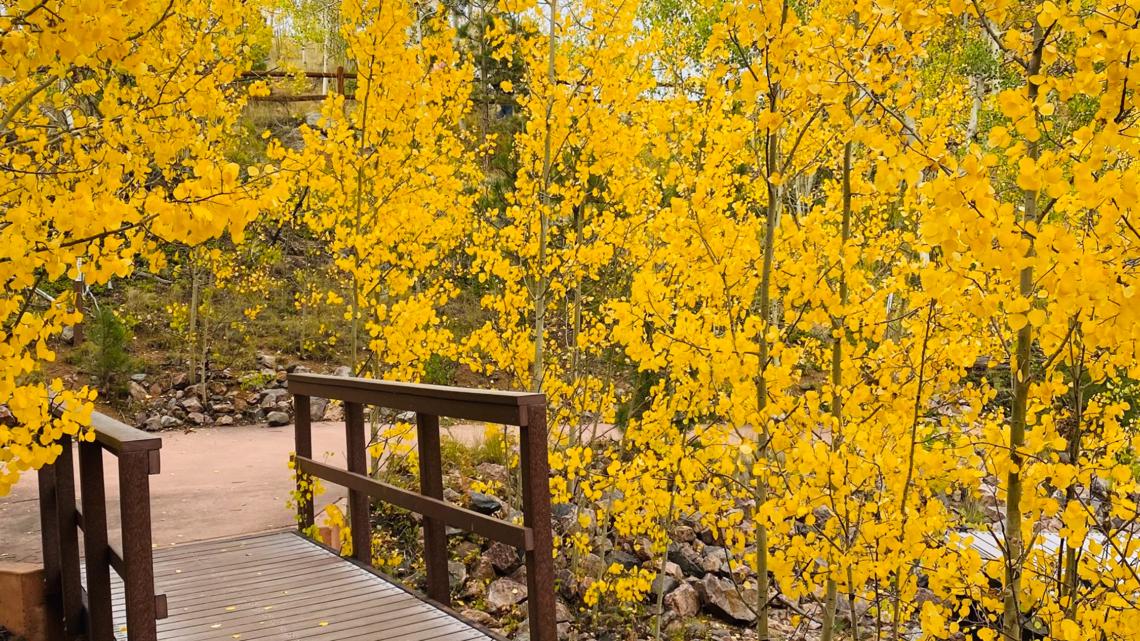 These are the best hikes to see fall colors & leaves in Colorado ...
