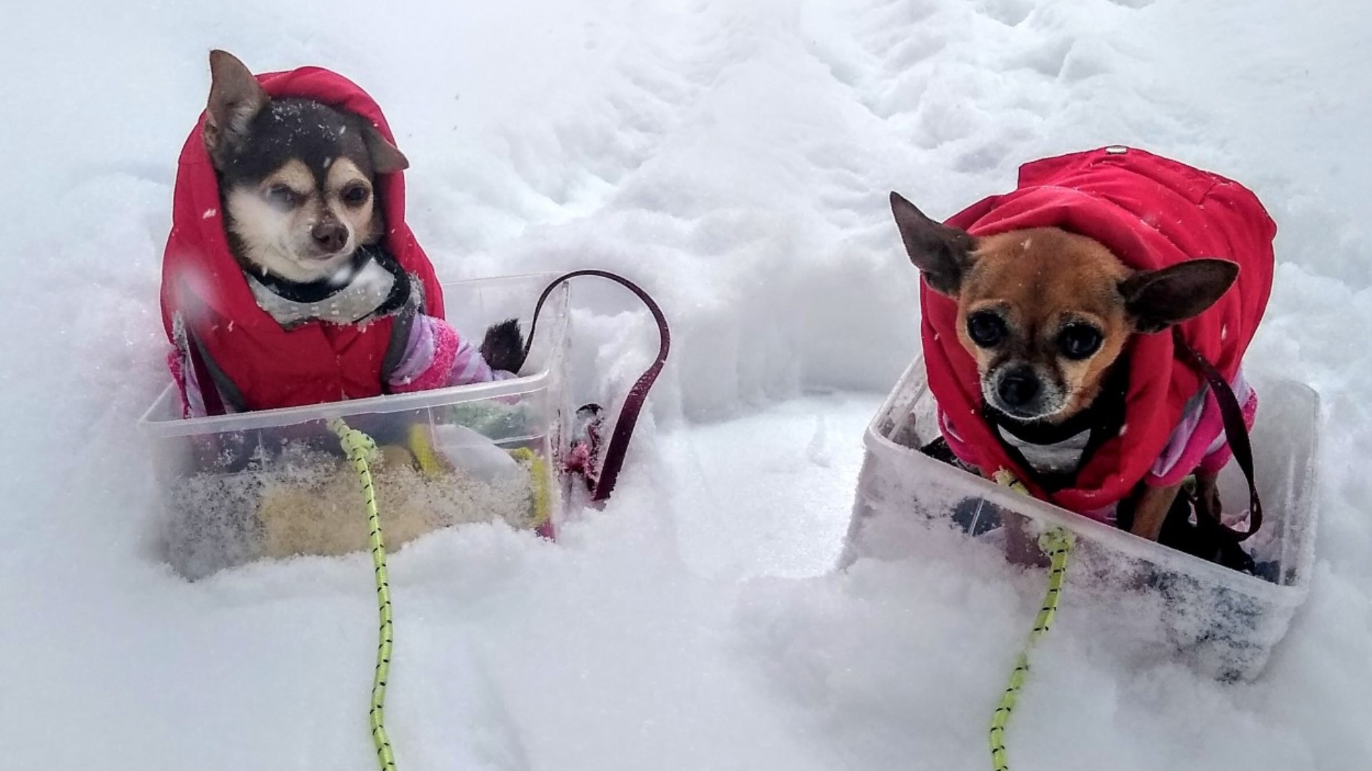 Snow moving out, cold temperatures sticking around | 9news.com