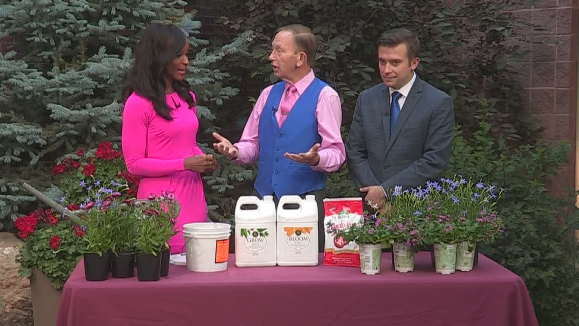 Proctor S Garden What How And When To Fertilize 9news Com