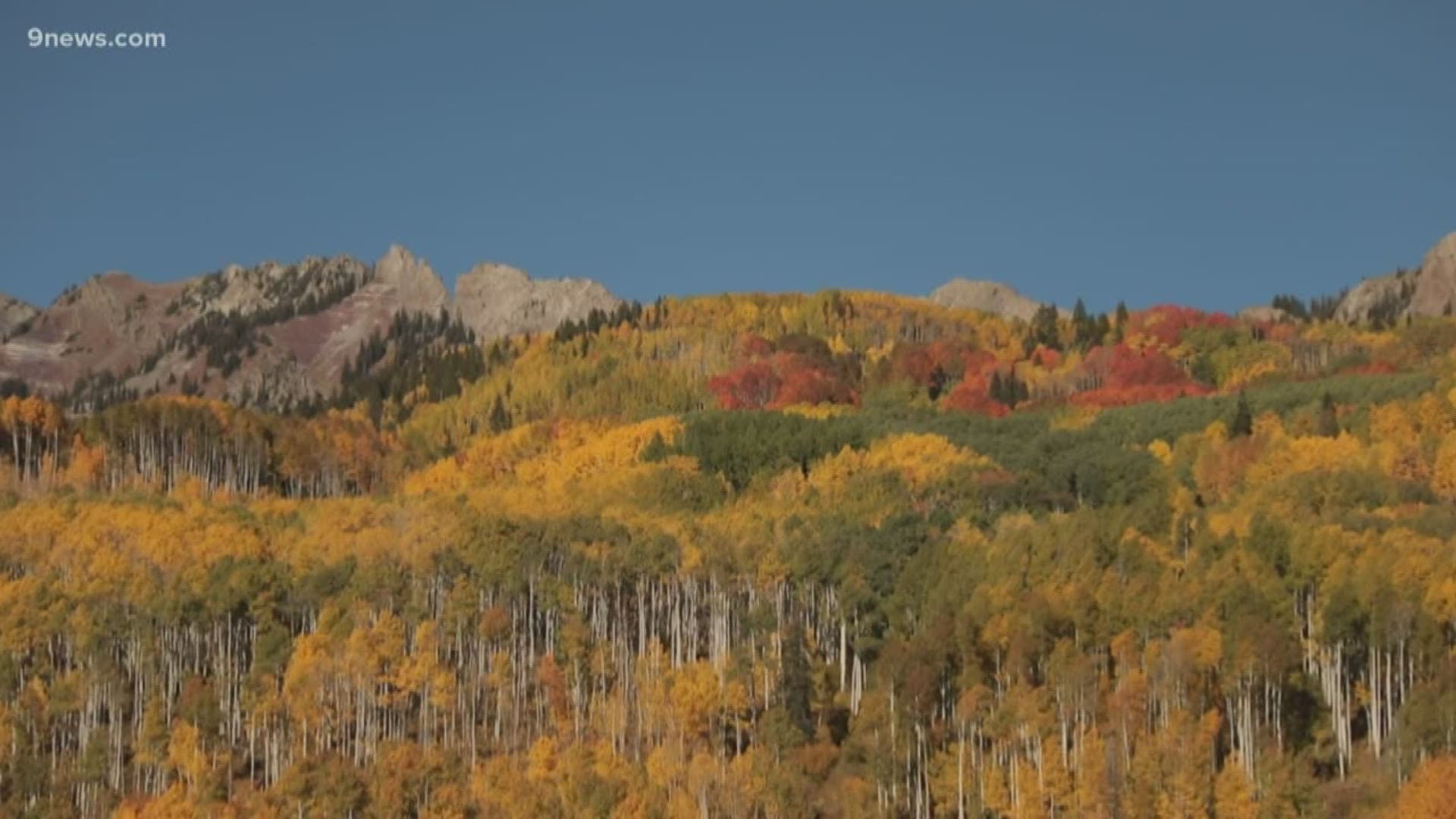 The beauty of the fall colors in Colorado's high country are put into words by Almont poet Brian Calvert.