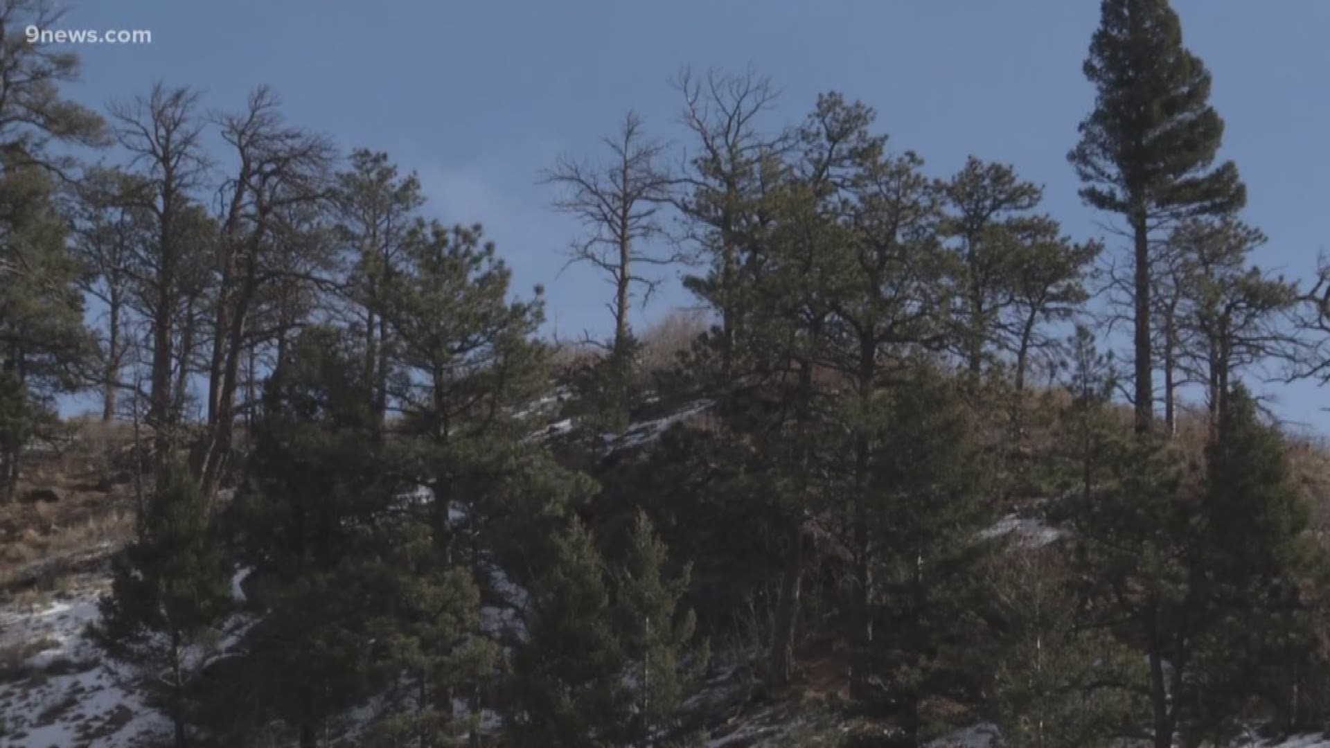 The Waldo Canyon Fire destroyed the Flying W Ranch in 2012.