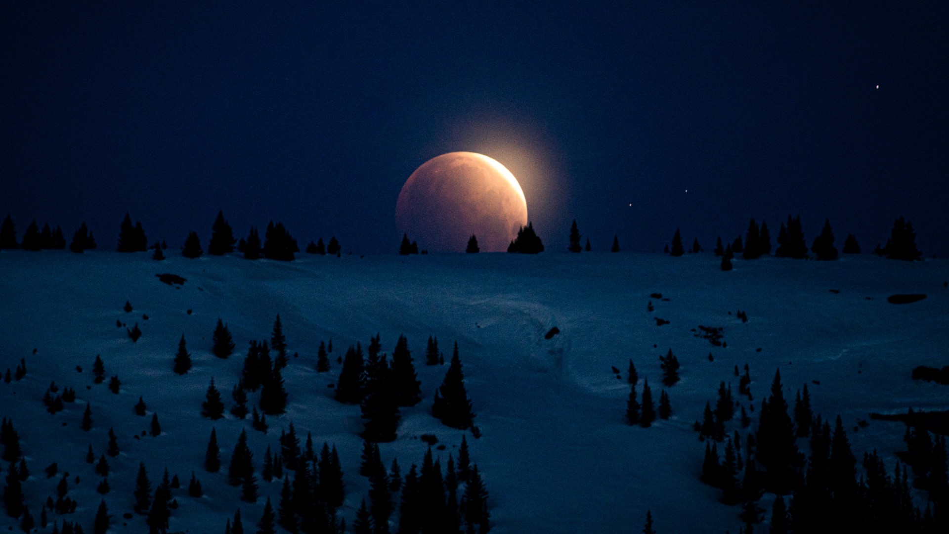 Many in Colorado saw a full lunar eclipse early Wednesday morning