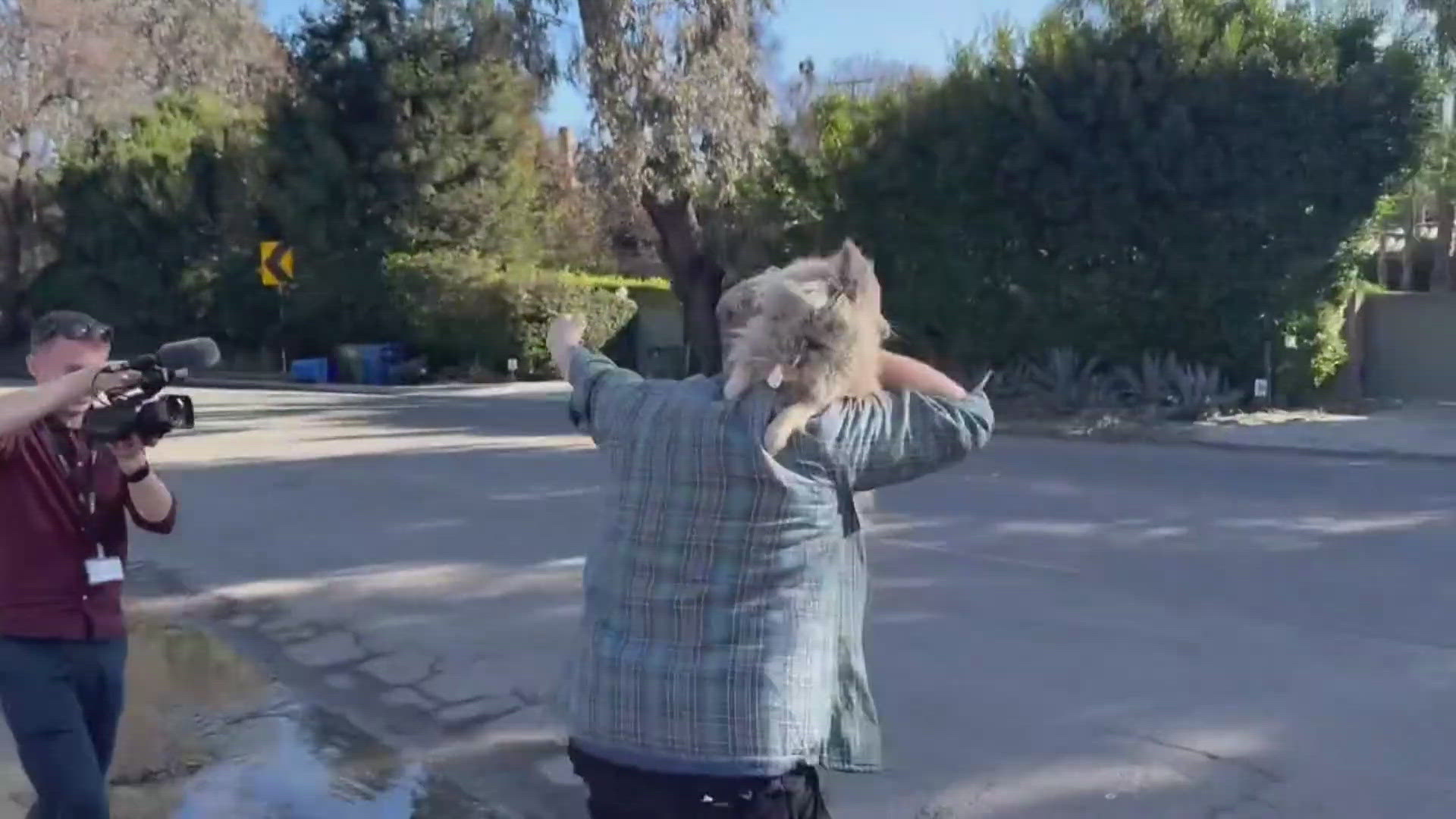 Los Angeles wildfire victim reunited with lost dog | 9news.com