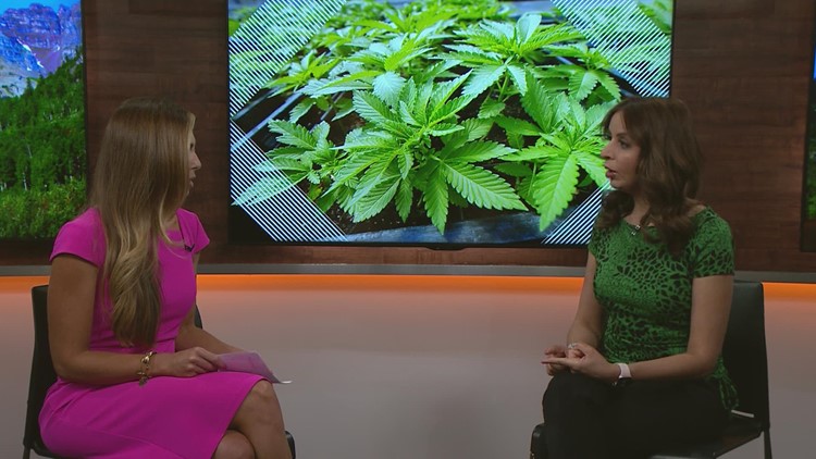 Impacts of using cannabis while pregnant