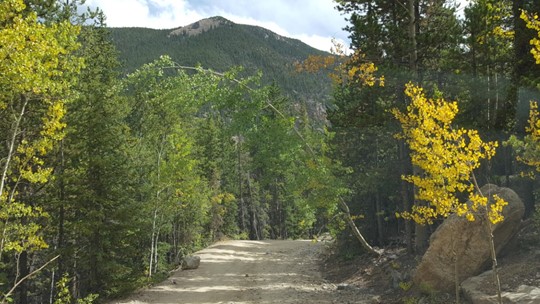 Colorado fall colors: When and where leaves will peak in 2020 | 9news.com