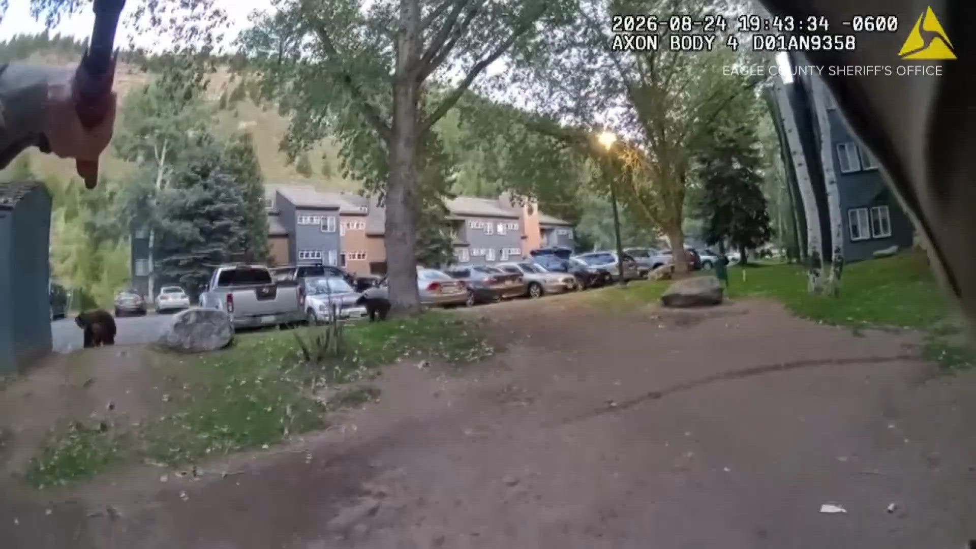 Coverage image for: Colorado sheriff's department releases body camera footage of deadly shooting of bear