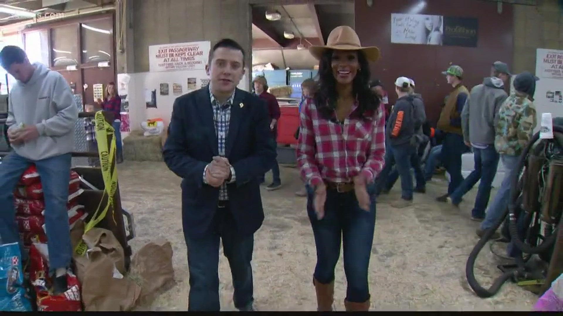 9NEWS Anchors Steve Staeger and TaRhonda Thomas went to the National Western Stock Show, they got put to work. Sometimes the hardest thing to do is stay clean!