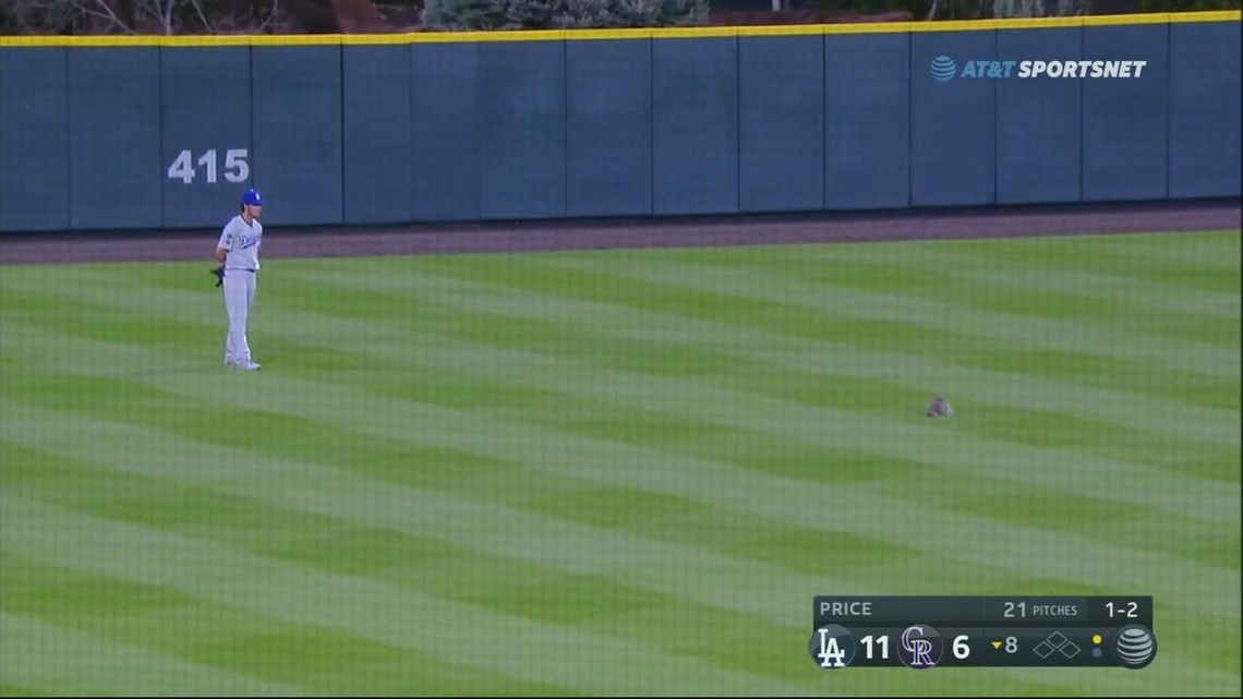 Rockies ban scooter riding near Coors Field during games