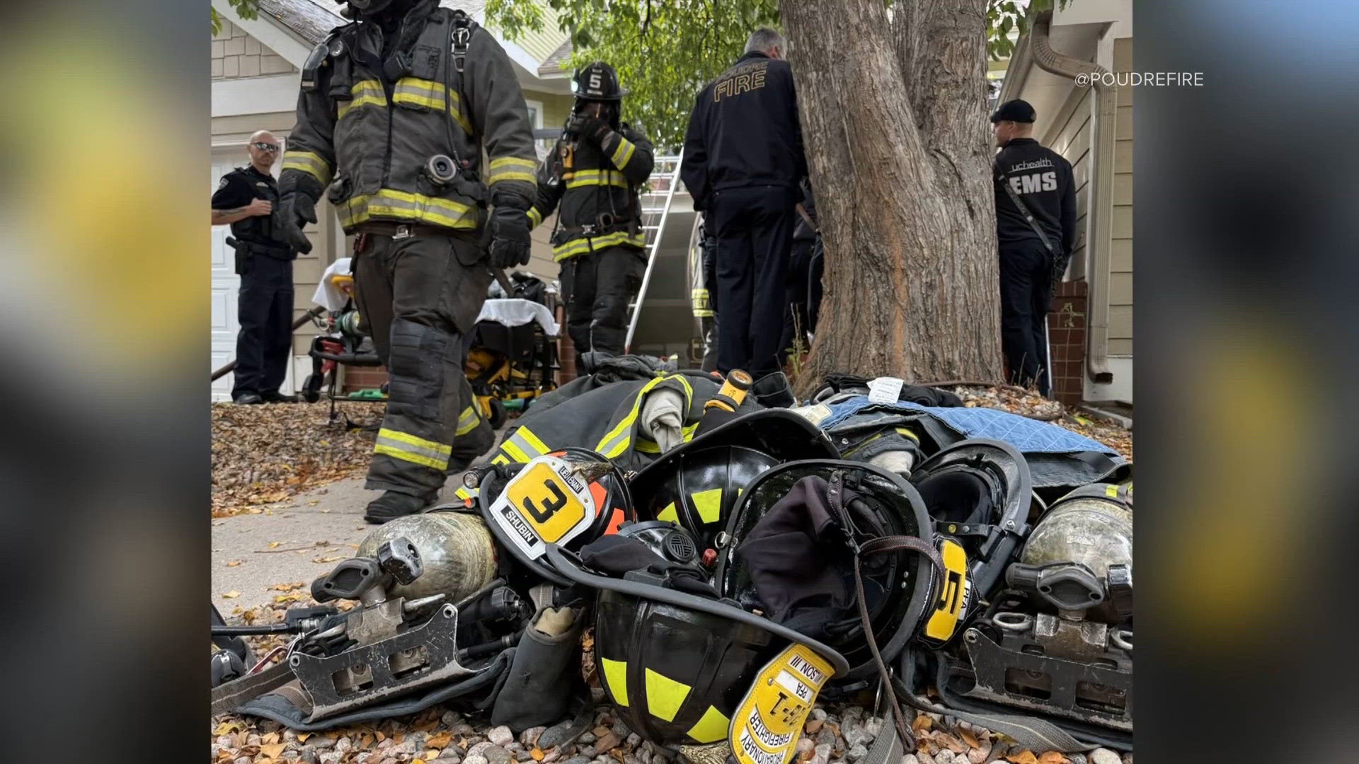 Collins Fire Latest headlines | Person dies after Fort Collins apartment fire ...