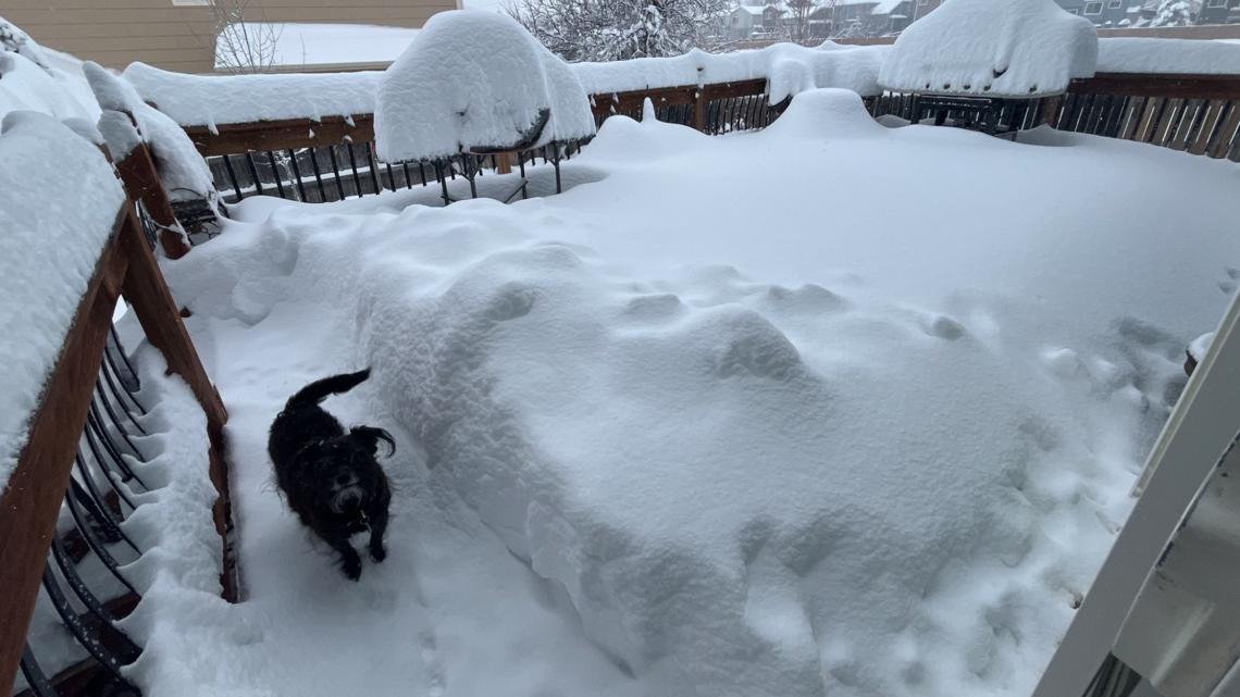 Business, school closings, delays in Colorado and Denver Thursday