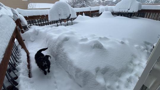 Business, School Closings, Delays In Colorado And Denver Thursday ...