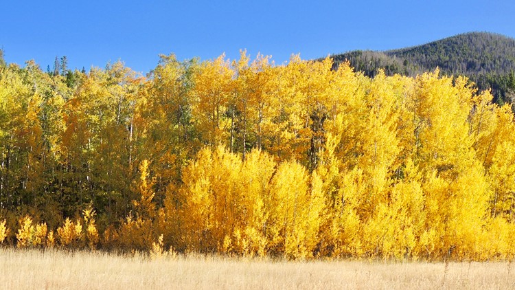 When and where to see the leaves change in Colorado