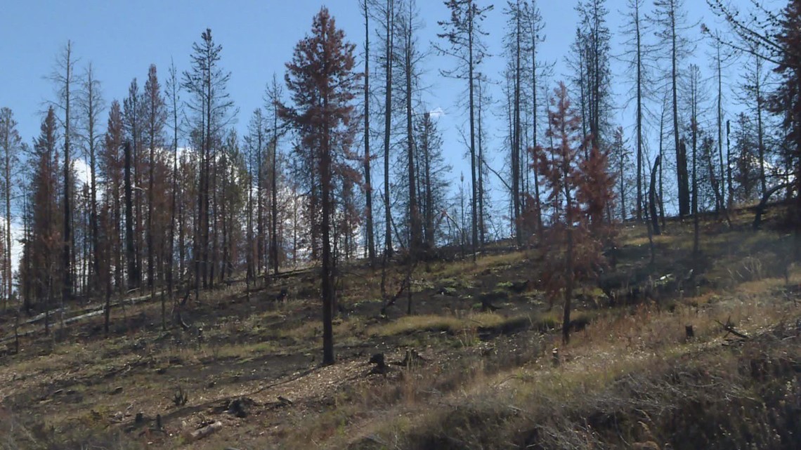 second-largest-fire-in-colorado-history-was-human-caused-9news