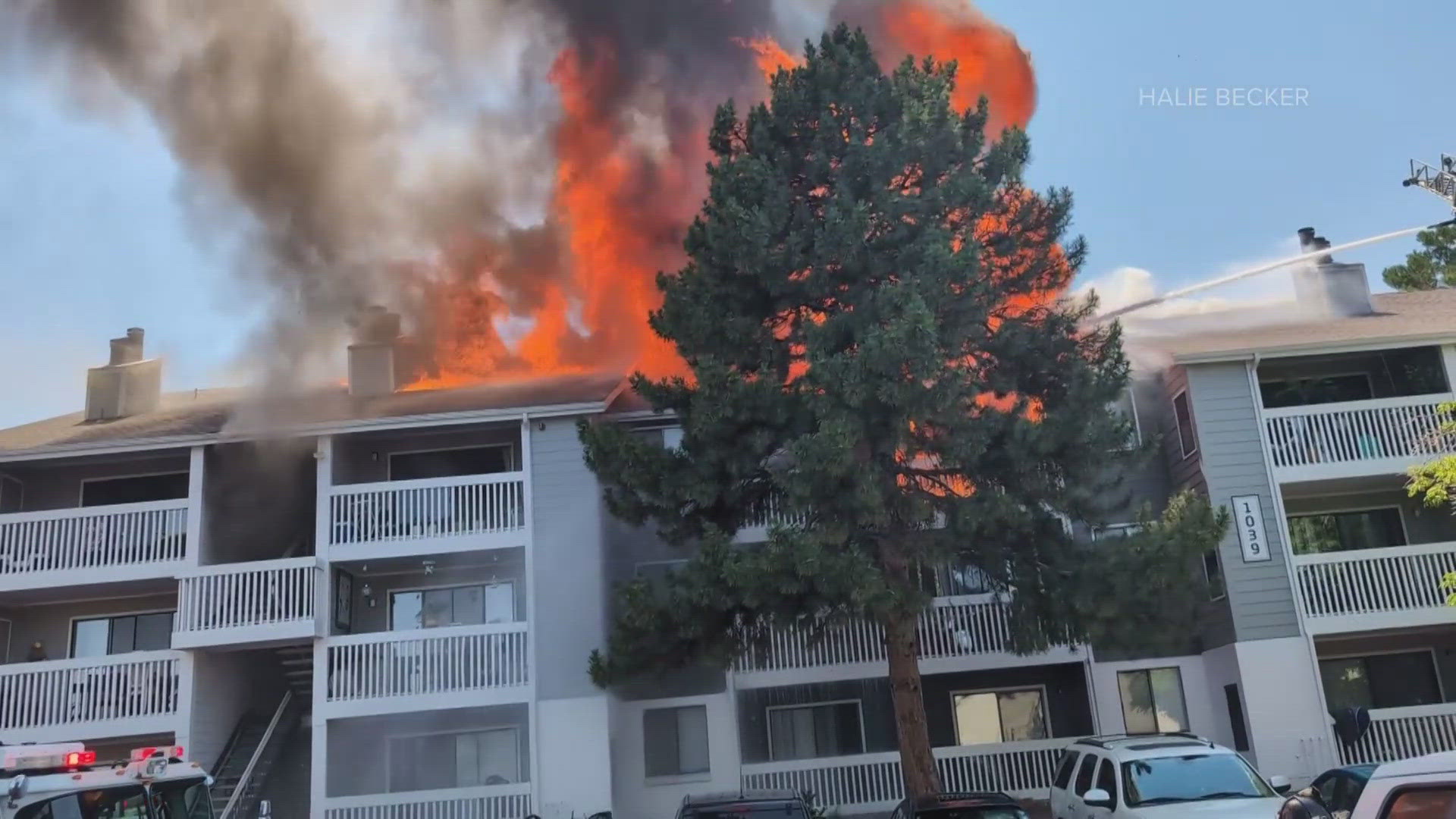 Aurora Fire Rescue crews responded to the area of East Mississippi and South Elkhart Way after they saw smoke – they arrived to see flames coming through the roof.