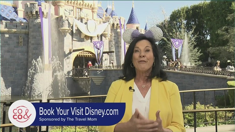 Travel Mom - Disneyland - February 6, 2023