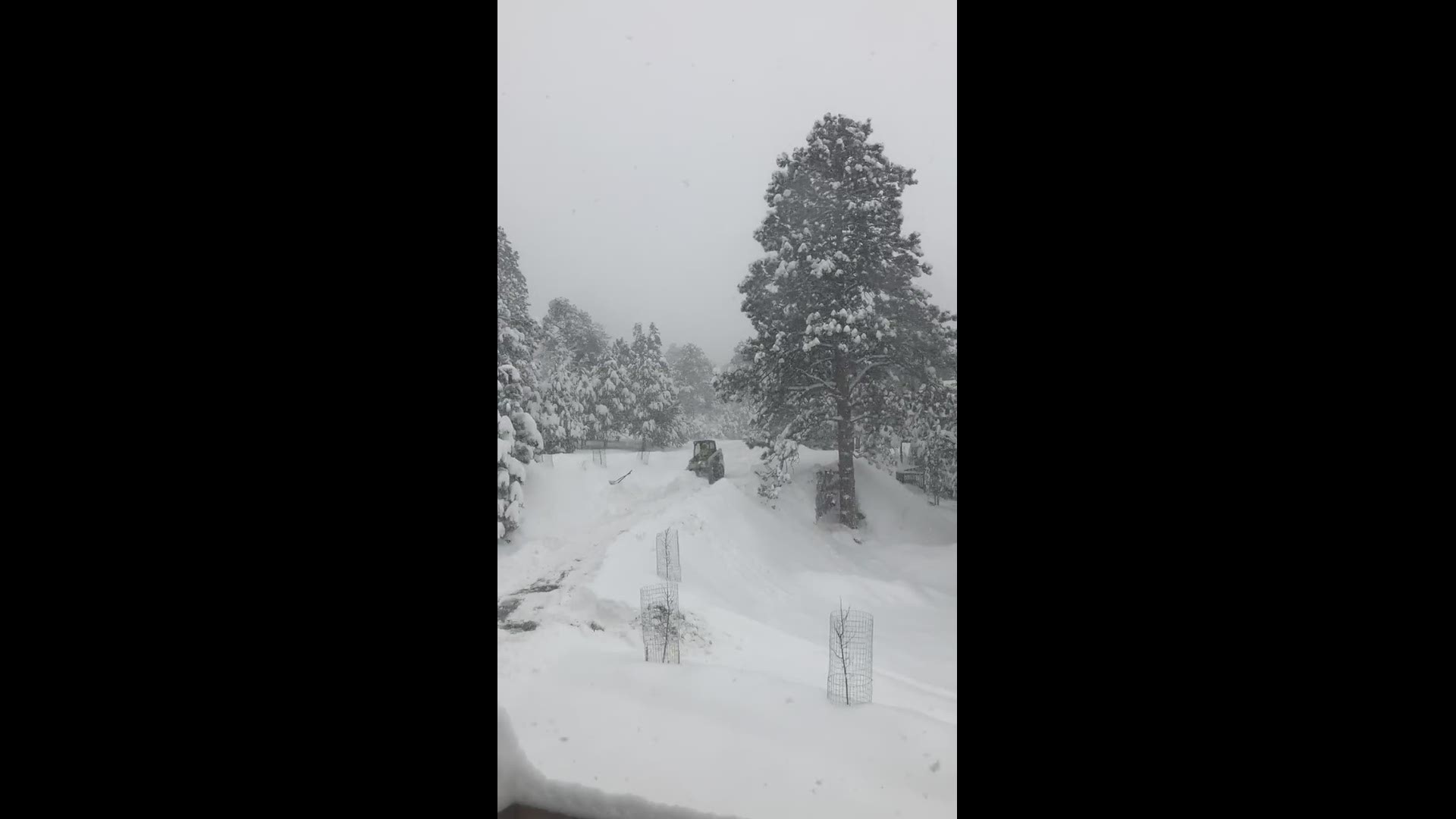 This is the driveway of my house in the Hiwan golf club area of Evergreen Colorado Sunday morning at 11:30am
Credit: Lesly Kenney