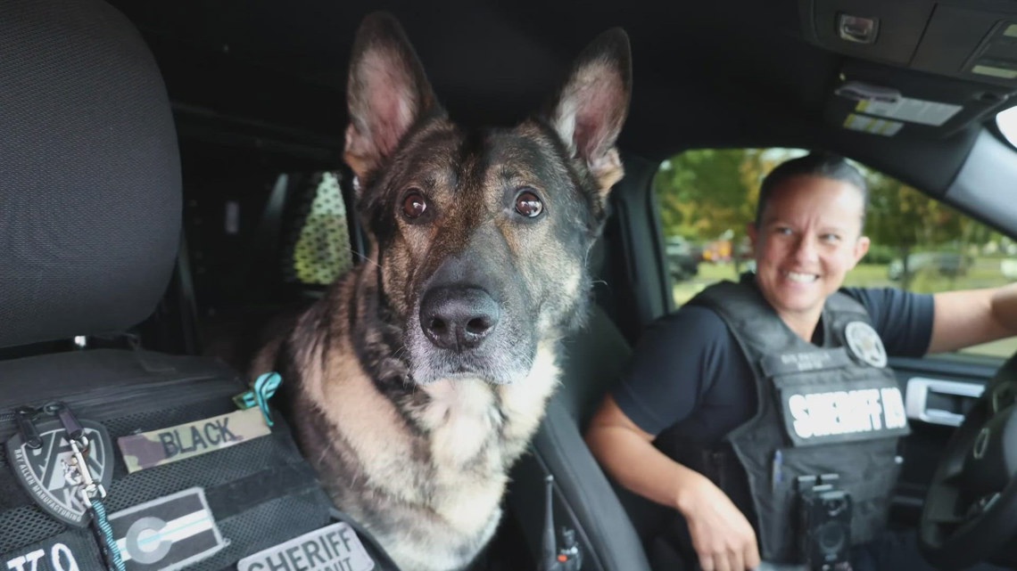 K9 hero retires after 9.5 years of service at Denver Sheriff Department