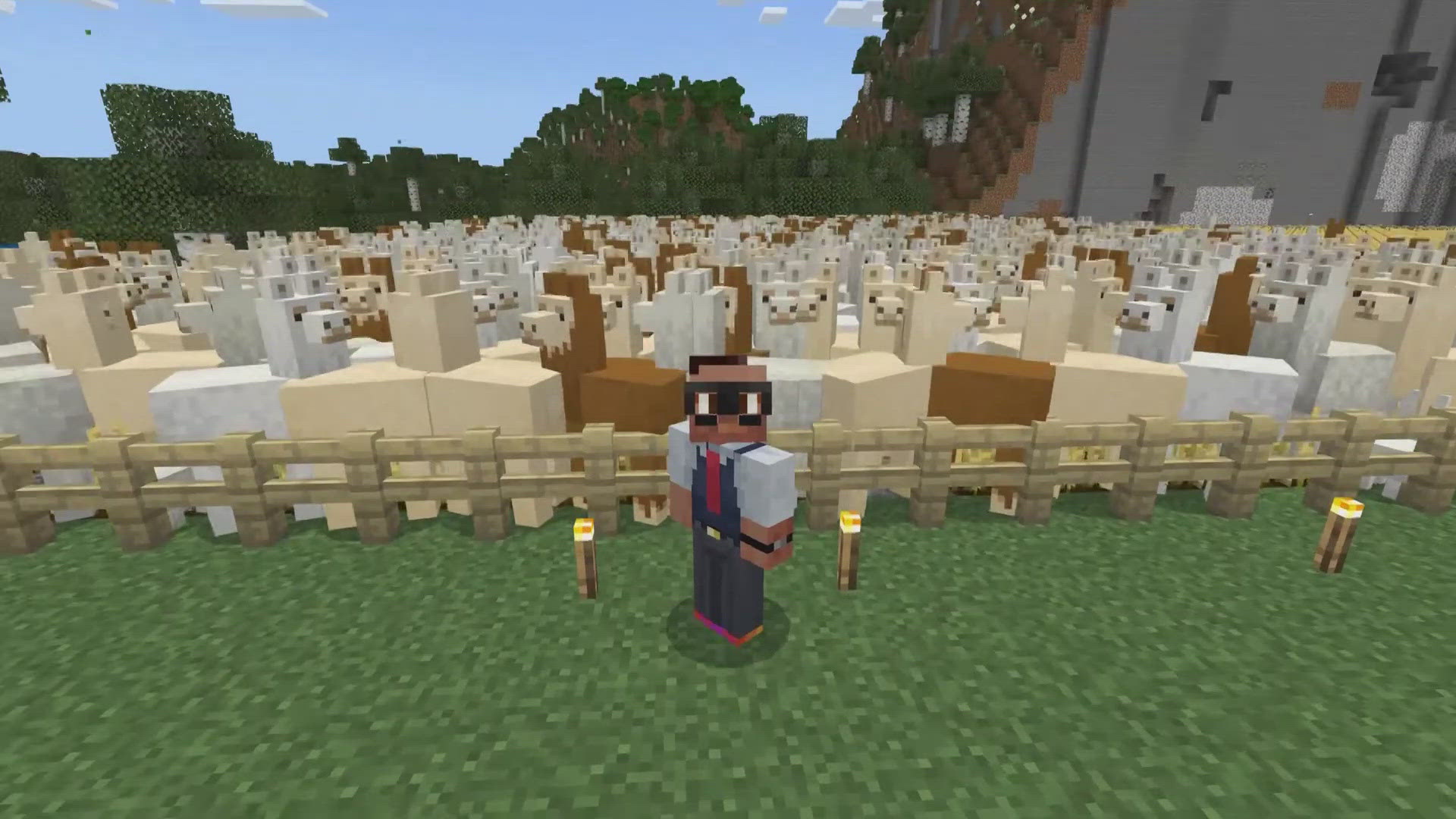 WellPower has clinicians using the popular game to connect with young clients in ways traditional therapy often can't.