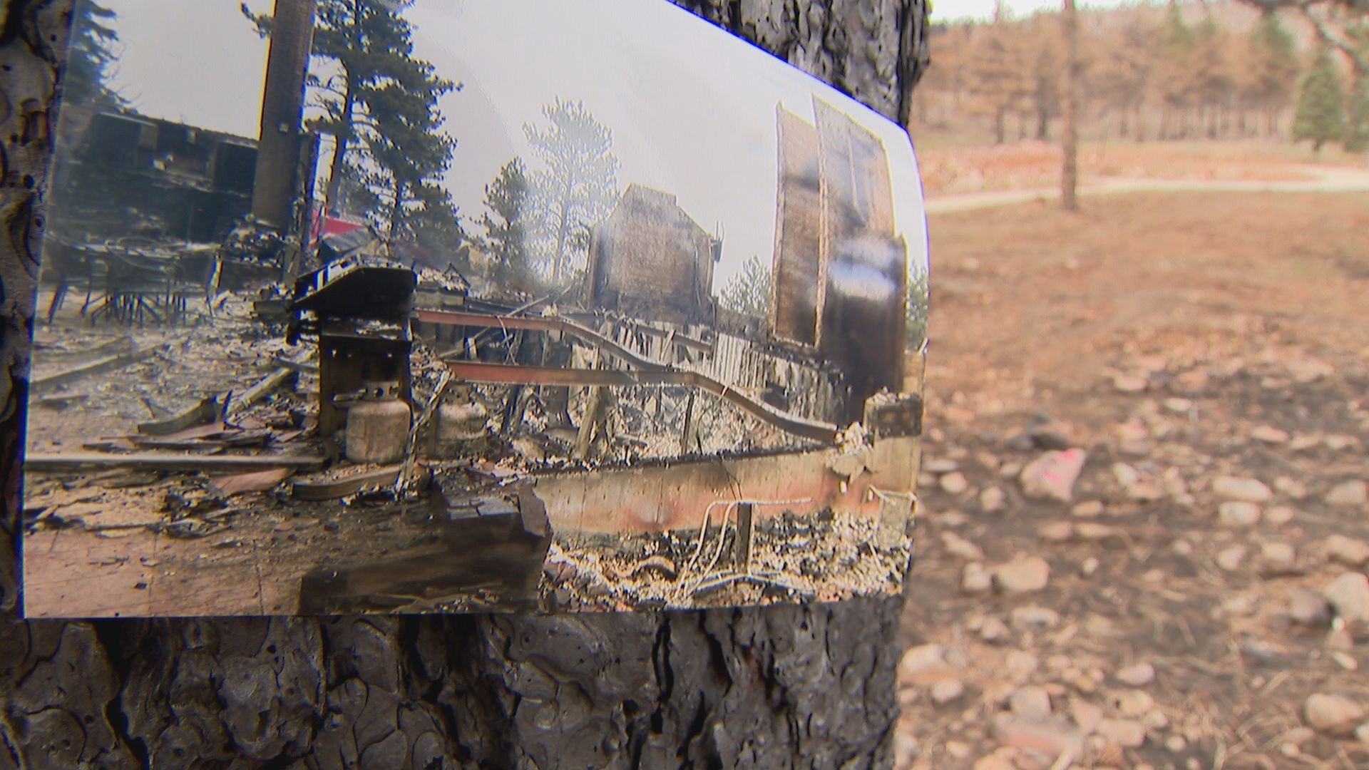 Colorado family battles with insurance after losing home in fire ...