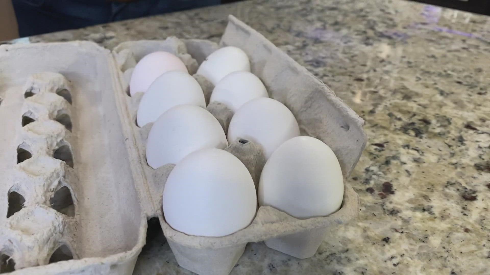 Steve Spangler invites you to take these scientific egg challenges.