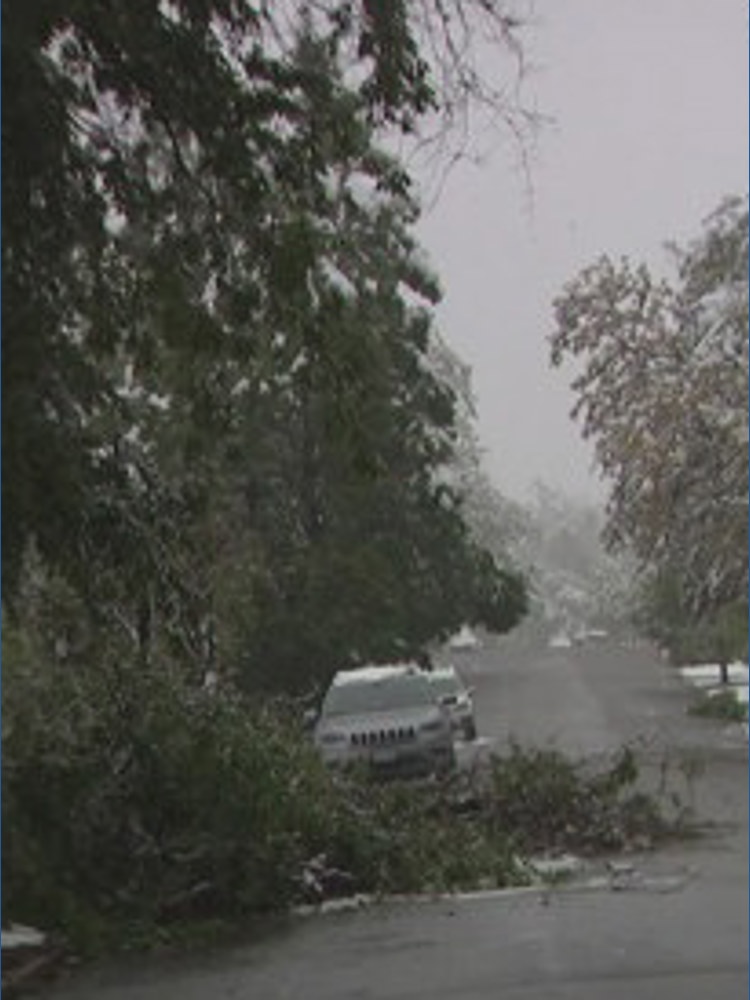 What to do with tree branches, debris from Wednesday's storm | 9news.com