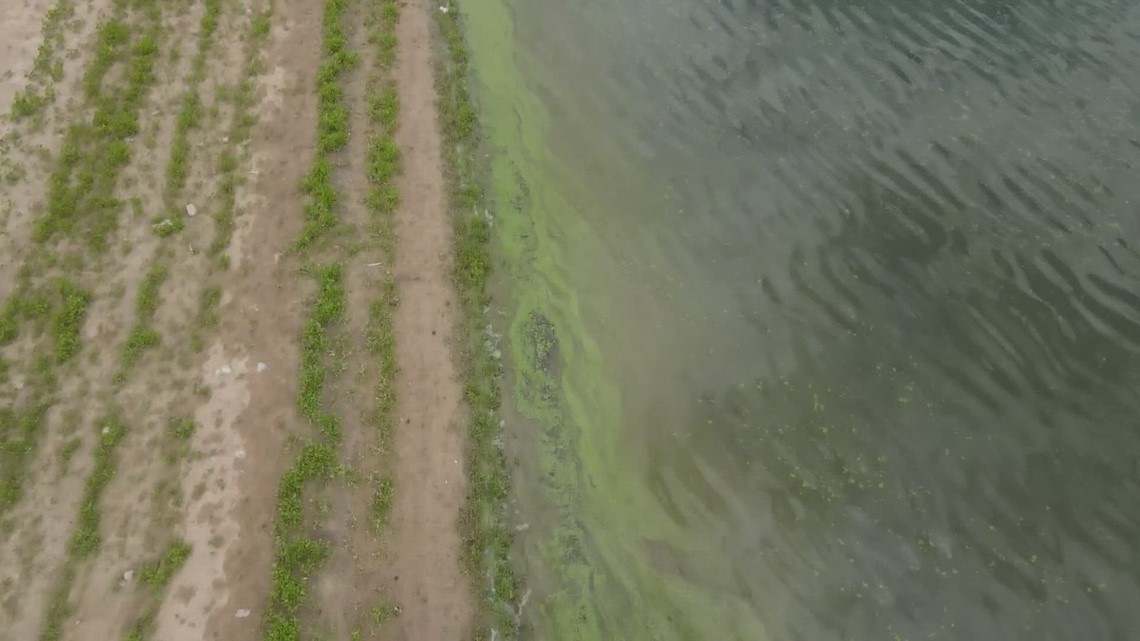 Toxic algae found in at least four locations in Colorado - Vimarsana News