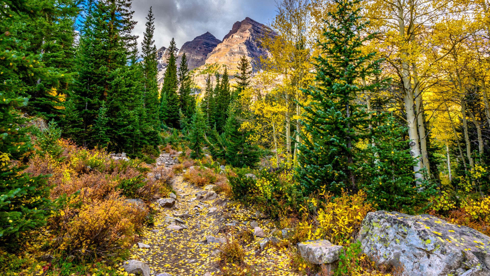 Colorado fall colors: When and where leaves will peak in 2020  9news.com