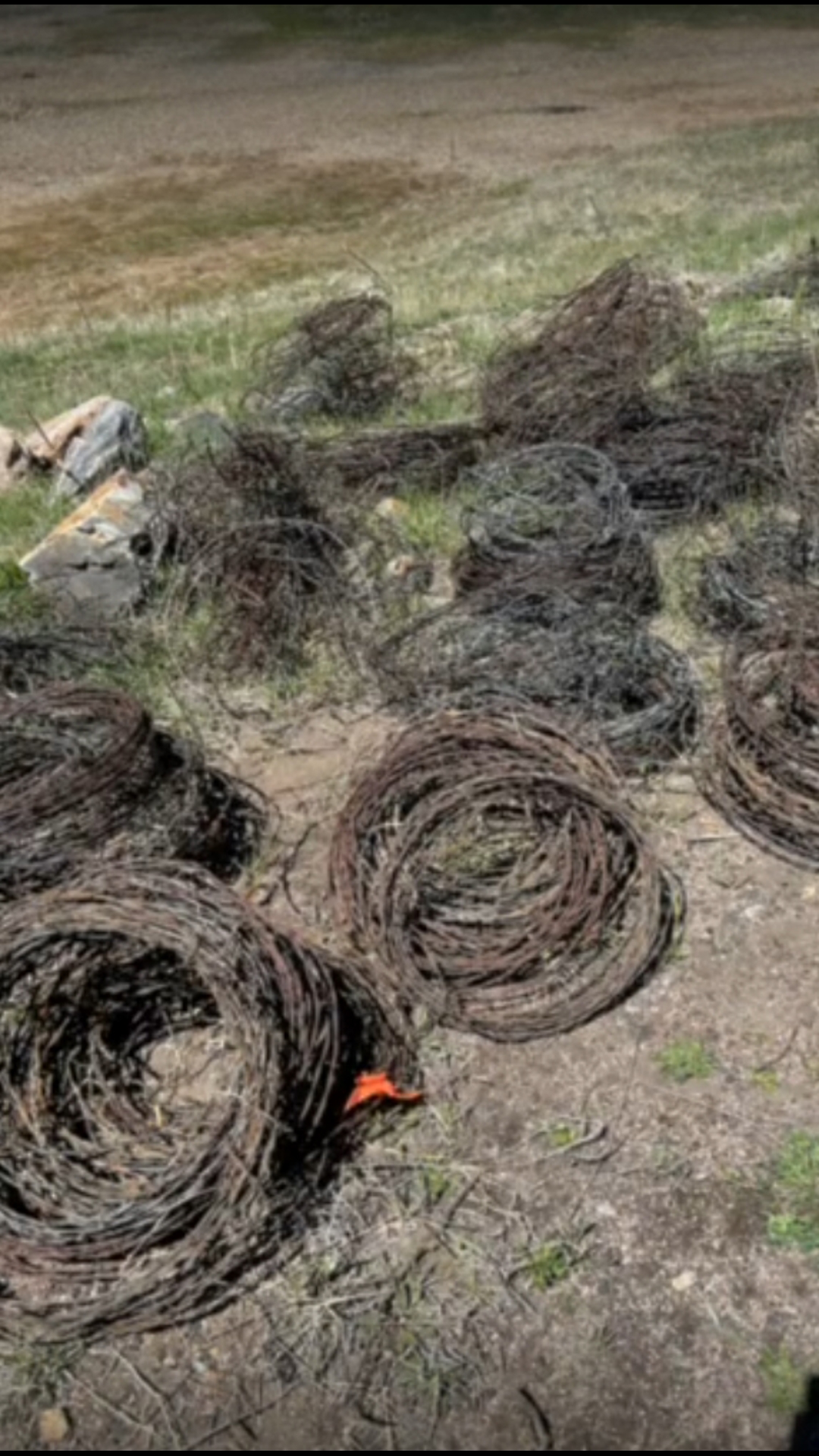 A decades-old barbed wire fence is coming down in Jefferson County, thanks to a first-of-its-kind partnership between CDOT and a nonprofit.