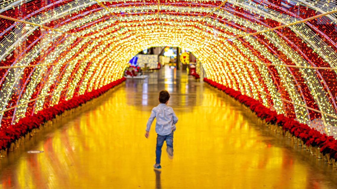 3 million holiday lights coming to Elitch Gardens this Christmas