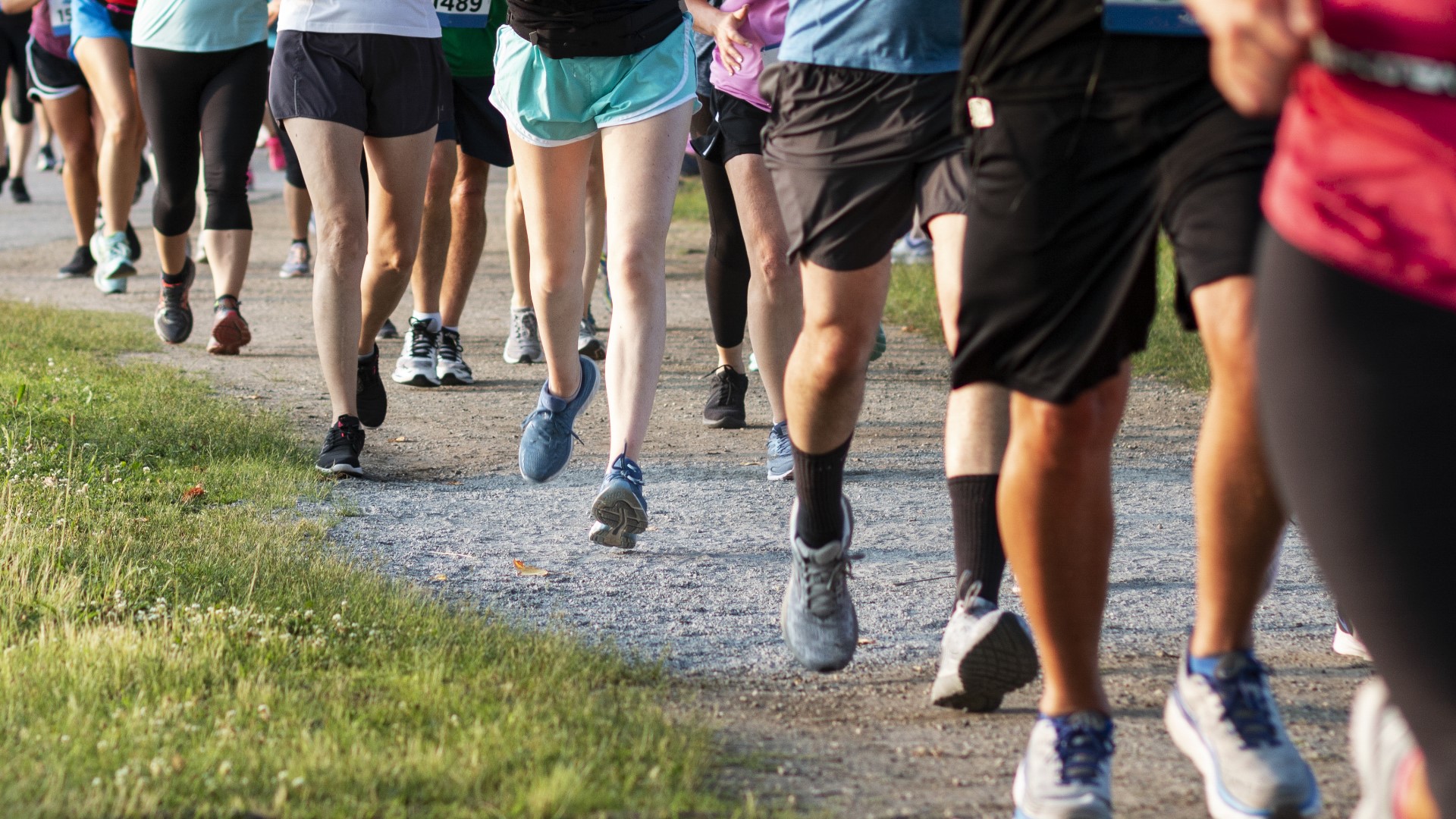 9 Things to do in Denver & Colorado this August 13-15 weekend | 9news.com