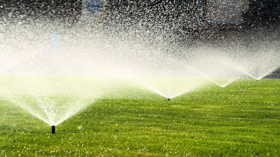 Turn on the Sprinklers: It's Time to Start Watering Your Lawn - SeaScape,  Inc.