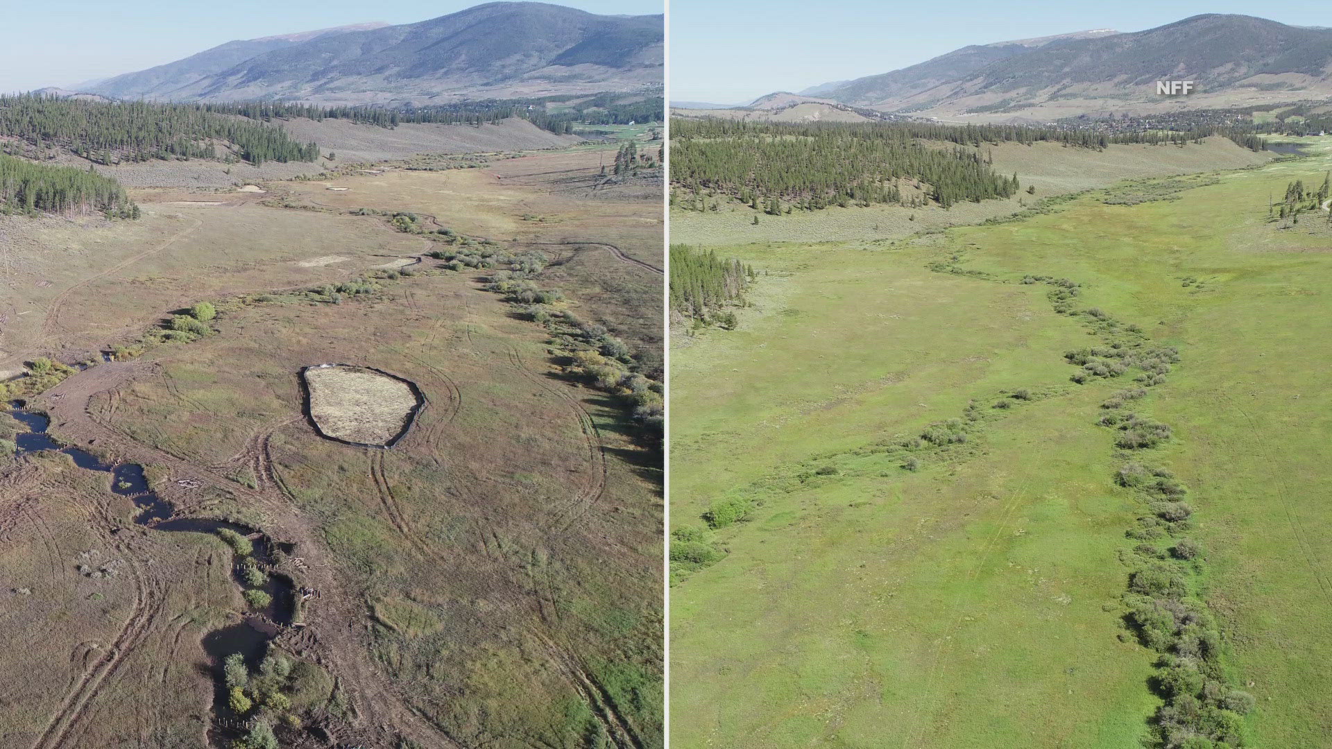 The project is part of an effort to restore 40 acres of wetlands in the White River National Forest, reestablishing nearly 30 acres while rehabilitating another 12.5