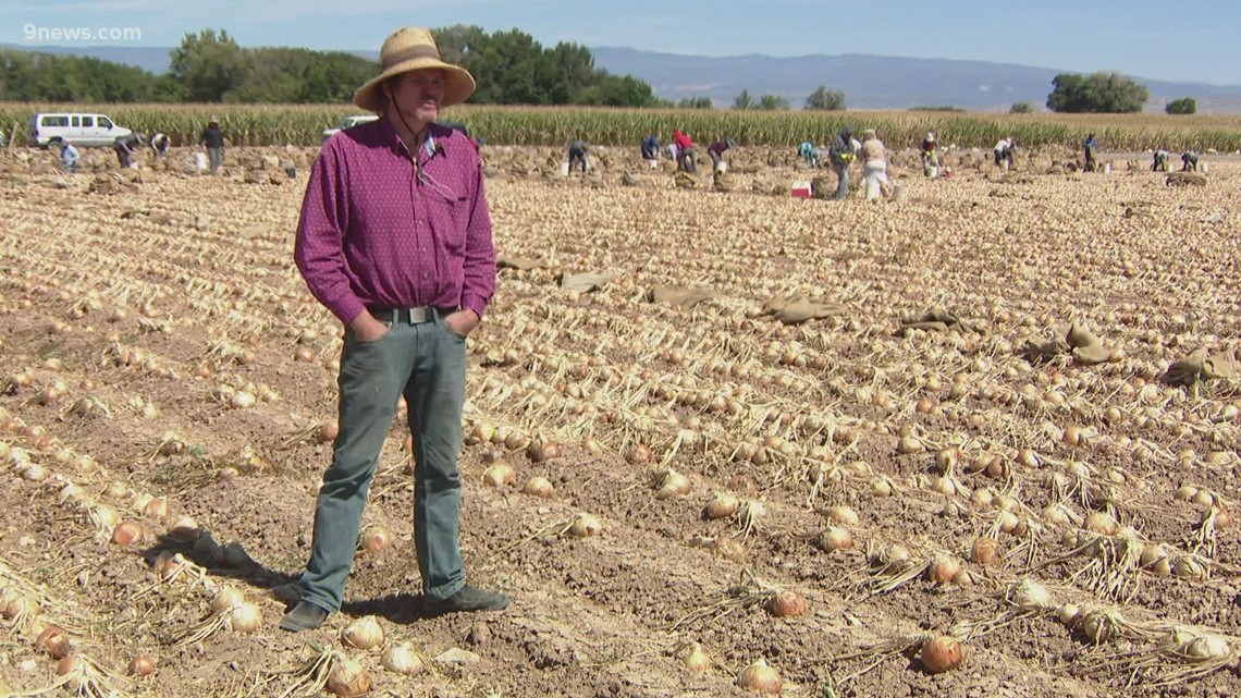 Colorado menyelesaikan aturan lembur untuk pekerja pertanian