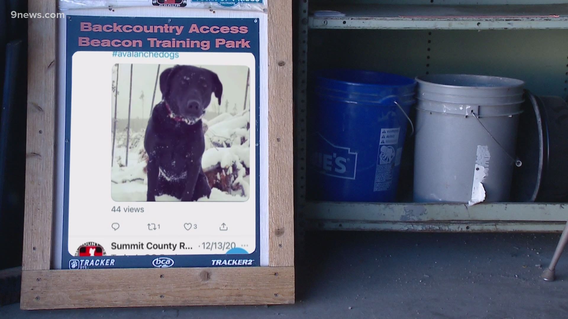 The Summit County Rescue group is using avalanche dogs on its social media pages to get out the message about avalanche warnings and alerts.