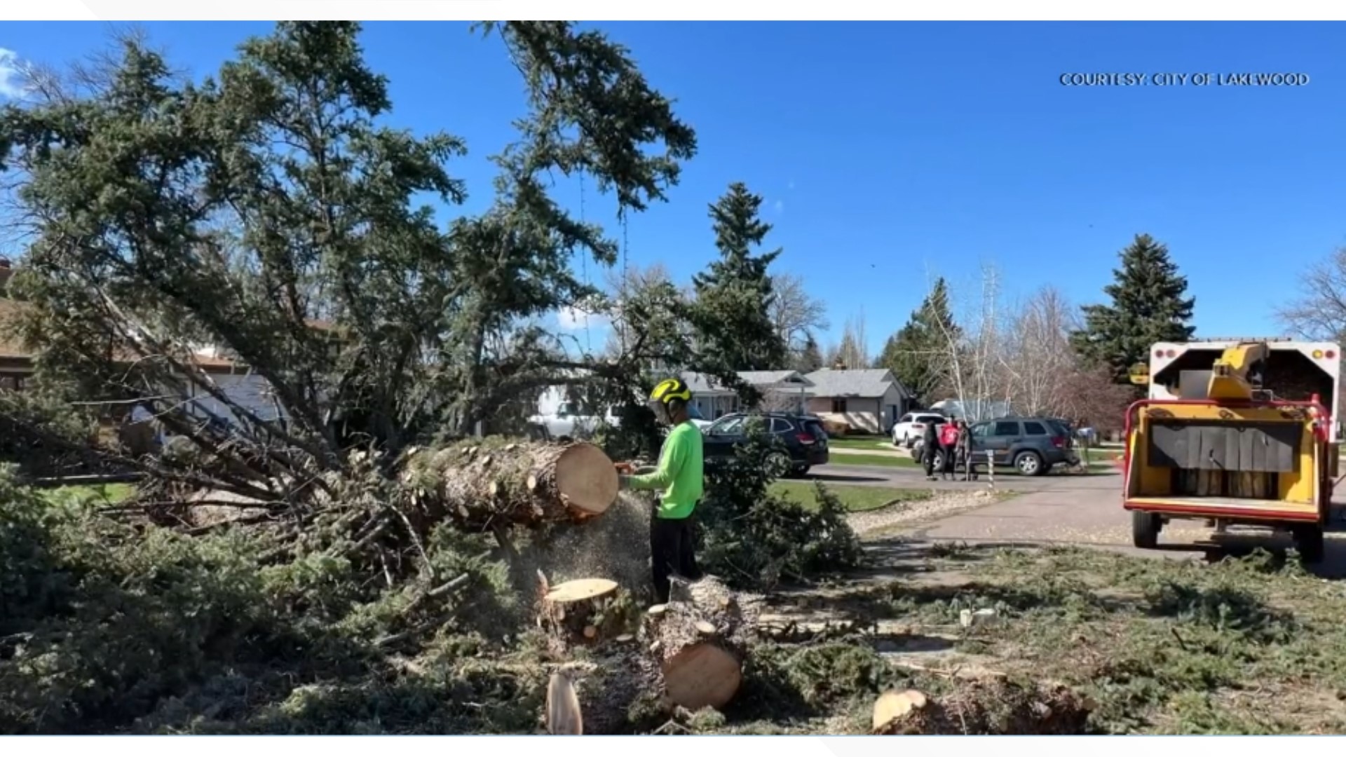 Drop-off locations for tree limbs, debris around Denver metro | 9news.com