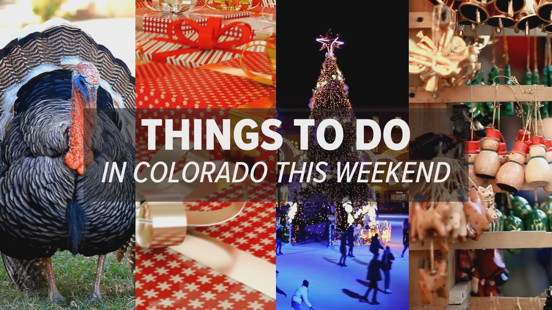 With holiday lightings, festivals, fairs, and a Turkey Trot 5K, there's just so much to do in Colorado this weekend.